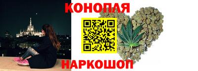 гашик Гусь-Хрустальный