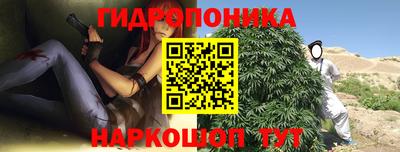 гашик Гусь-Хрустальный