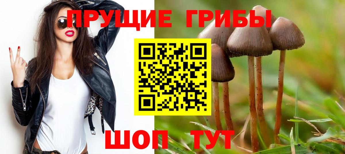 Псилоцибиновые грибы мицелий Кызыл